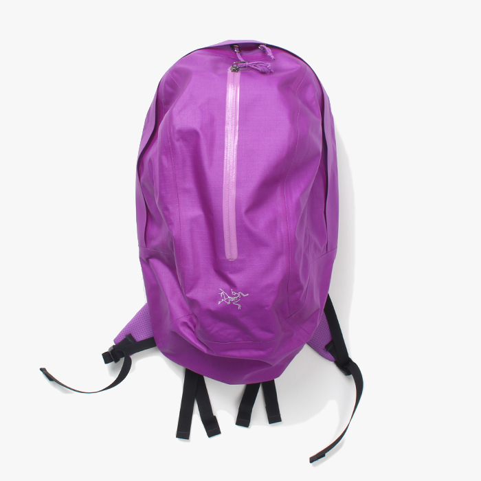 ARCTERYX &quot;Purple Backpack&quot;